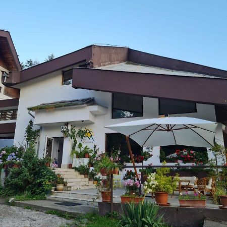 Randunica Hotel Văliug Exterior photo