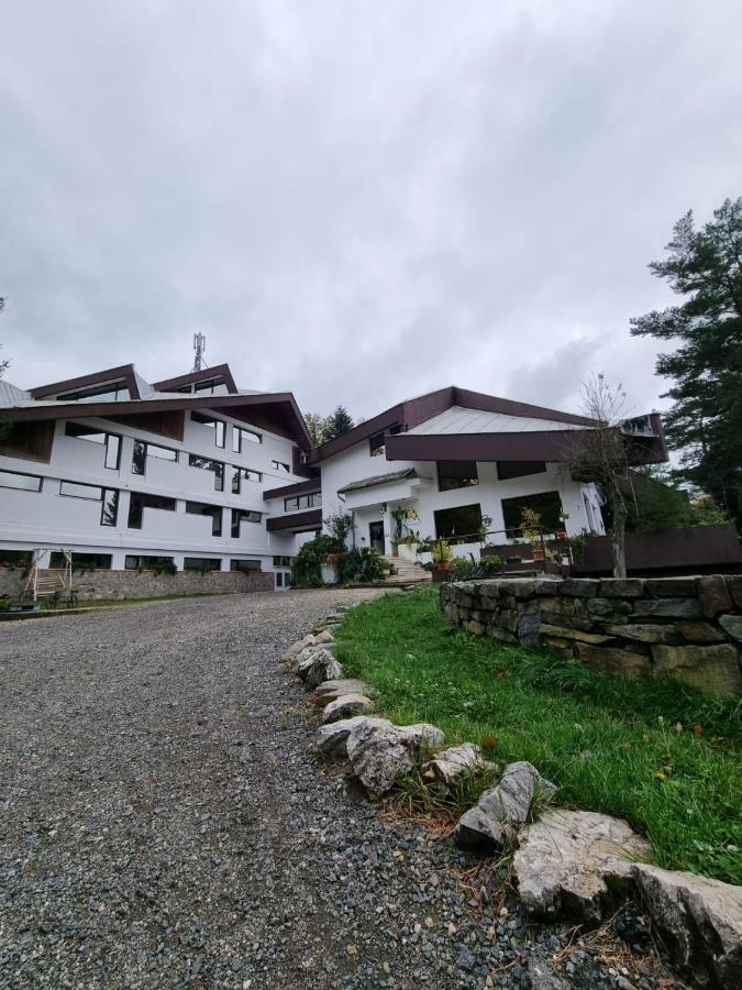 Randunica Hotel Văliug Exterior photo