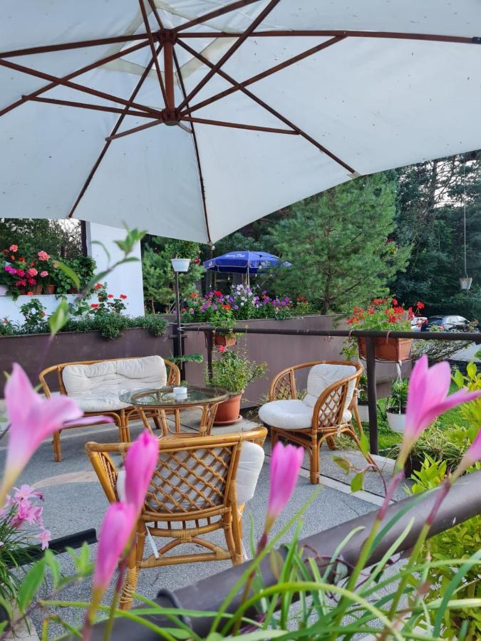 Randunica Hotel Văliug Exterior photo